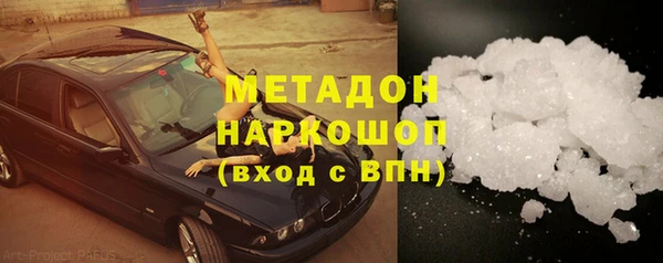 прущие грибы Абаза