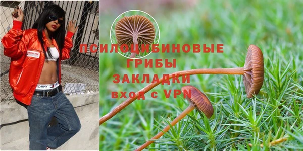 ECSTASY Алексеевка