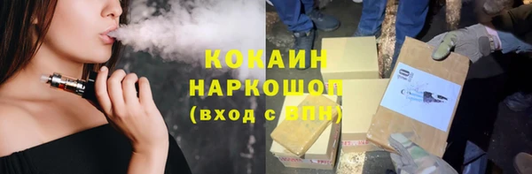 прущие грибы Абаза