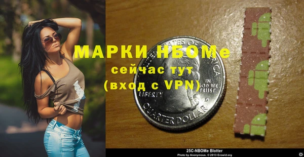 прущие грибы Абаза