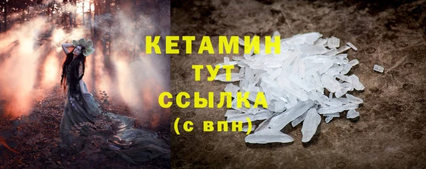 гашик Козельск