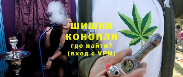 прущие грибы Абаза
